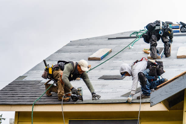 Professional Gutter Installation technician working in Wilmer, AL